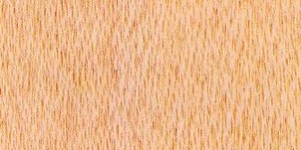 Mempisang wood Mempisang wood