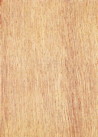 Pelajau: Malaysian Wood Supplier - Product Overview
